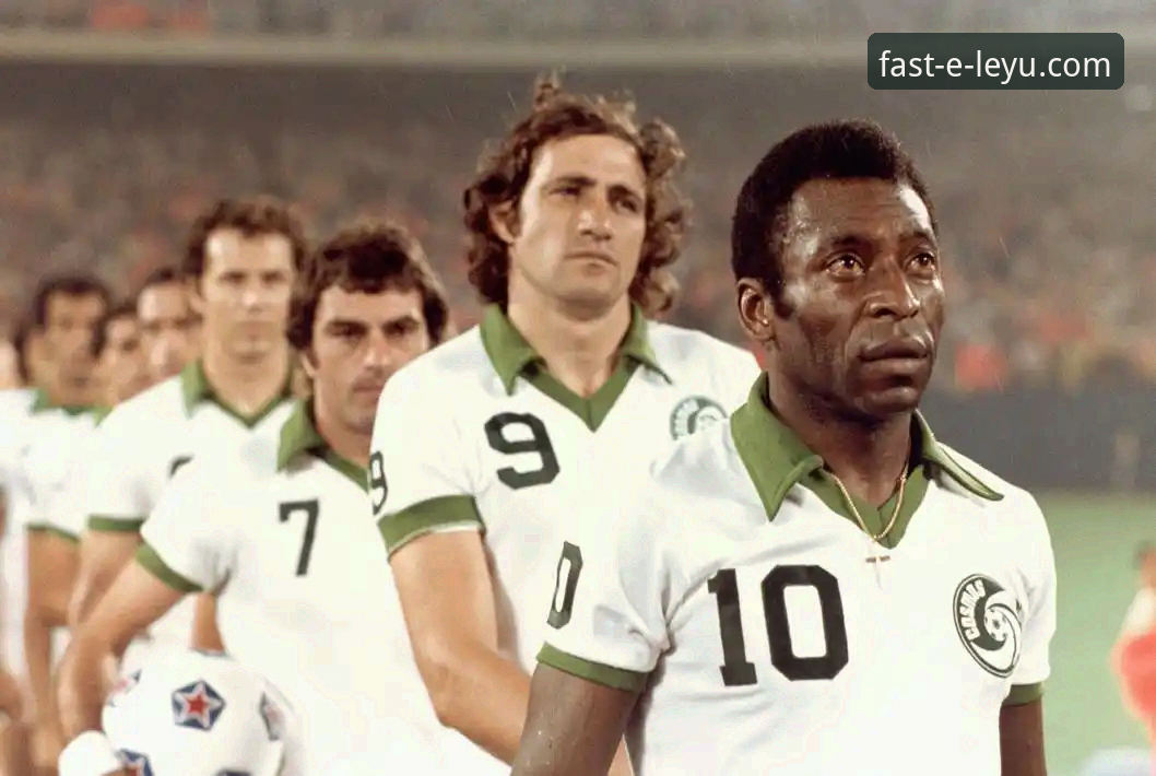 许家印案庭审落幕，乐鱼体育平台深度解析“金元足球”兴衰启示